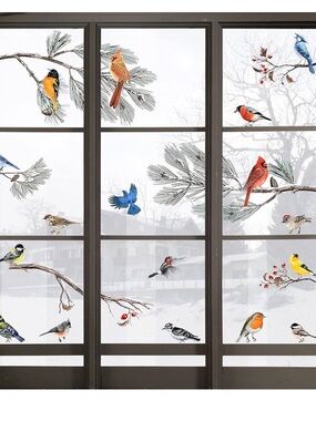 New Bird Illustration window Sticker Set - Multicolor
